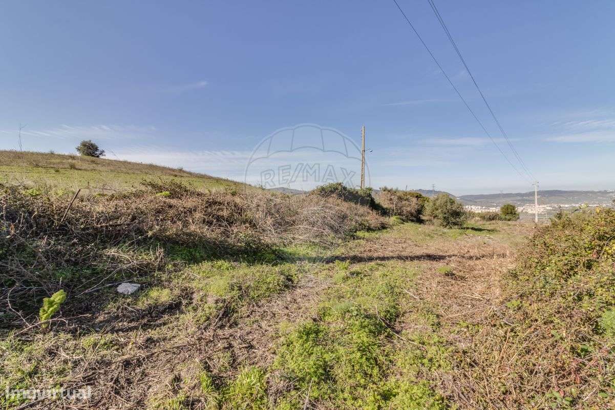 Quinta T1 para venda - Grande imagem: 5/20