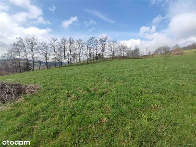 Działka w pięknej okolicy - Berest, gmina Krynica - Pełny obrazek: 4/9