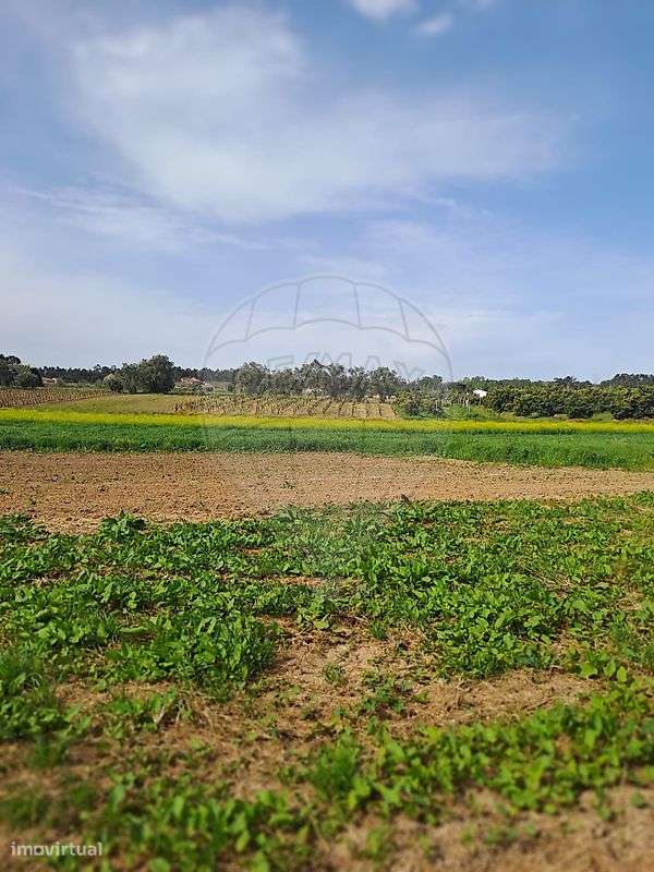 Terreno  para venda - Grande imagem: 4/6