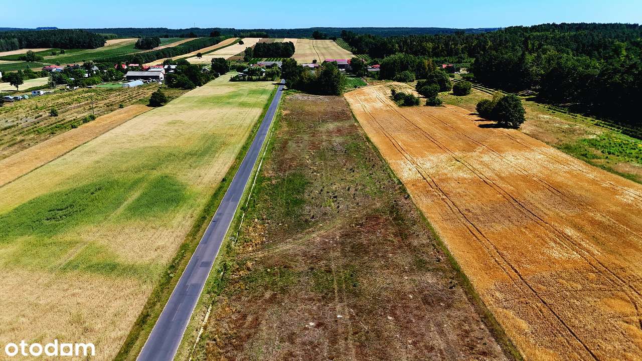 Cisza, las, wygodny dojazd | działka pod dom 900/1500 m2, blisko Rawy - Pełny obrazek: 4/12