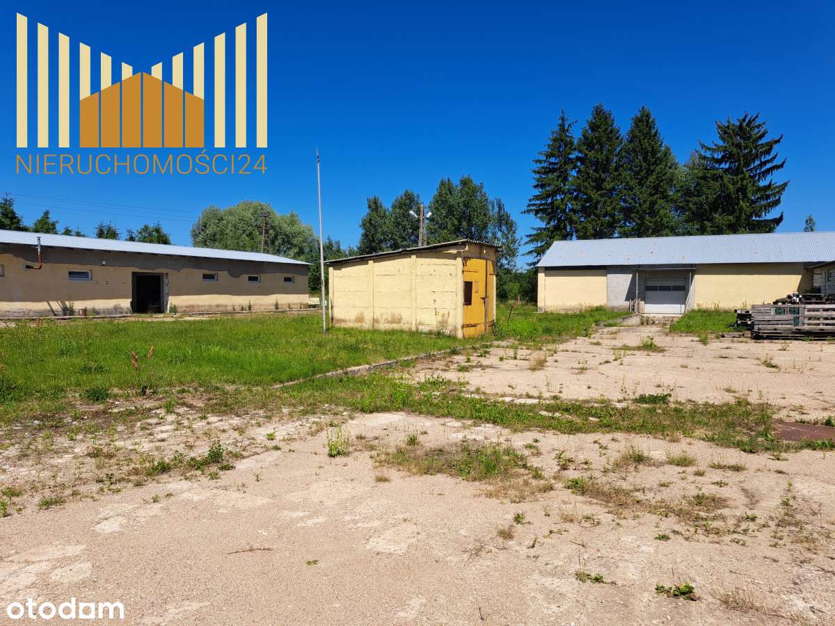 Oferta godna uwagi ! - Pełny obrazek: 5/20