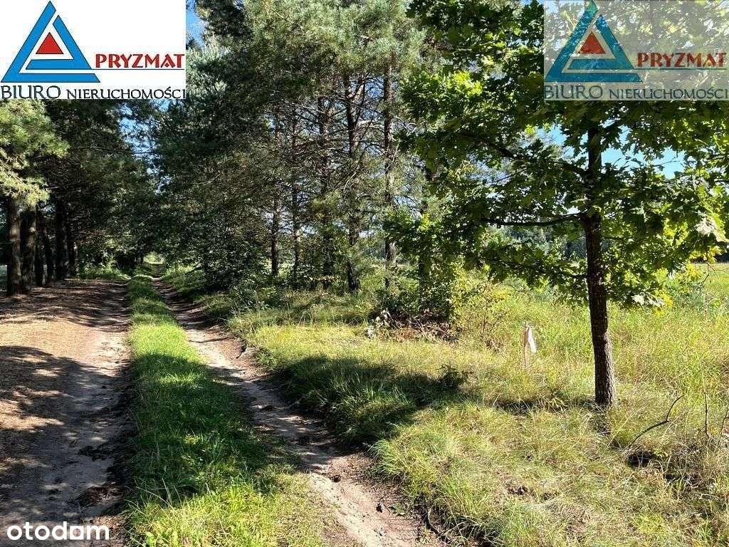 Działki do sprzedaży - Maruny gmina Barczewo-6