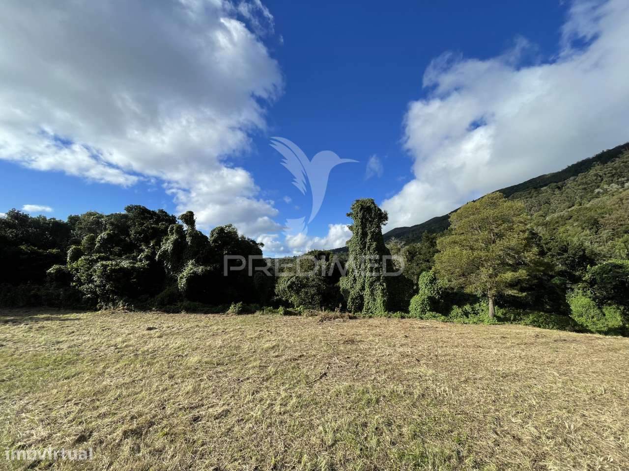 Terreno para Construção - Grande imagem: 3/17