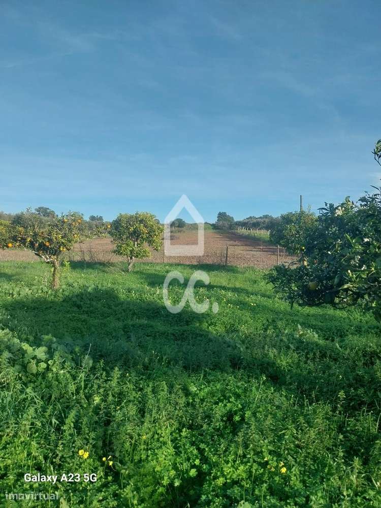 Terreno agrícola arvense com 2,850 Hectares - Grande imagem: 5/40