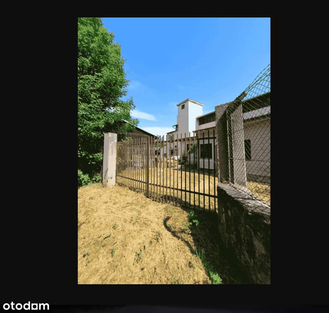 Fabryka tektury, Nowa Ziemia gm. Złotoryja. Licytacja - Pełny obrazek: 4/8