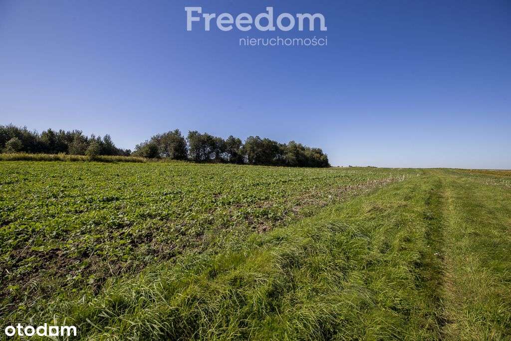 Działka rolna 15 ar – Trzciana, gmina Świlcza - Pełny obrazek: 5/9