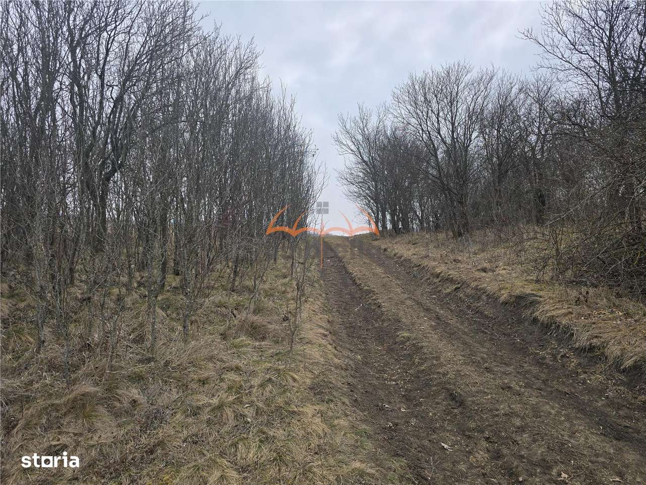 2 Terenuri de vanzare in Popesti Baciu 500m²+ 2.030m². - Imagine principală: 1/7