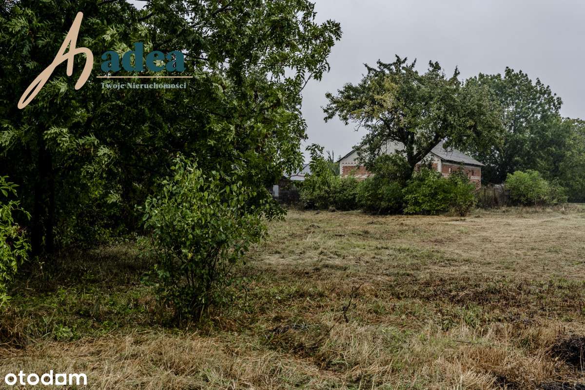 Atrakcyjna działka 27,5 ara tylko 15 min od Chełma - Pełny obrazek: 4/7