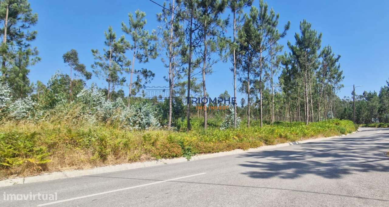 Terreno Rústico Pombal - Grande imagem: 3/5