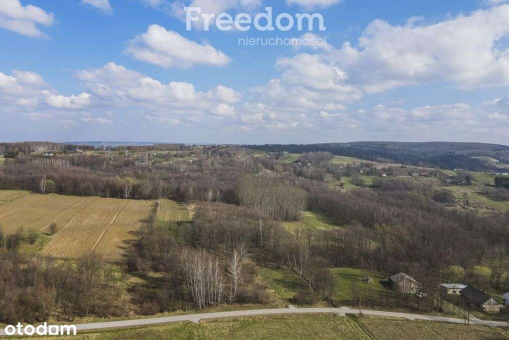 Działka rekreacyjna Lubenia, widokowe położenie - Pełny obrazek: 5/9