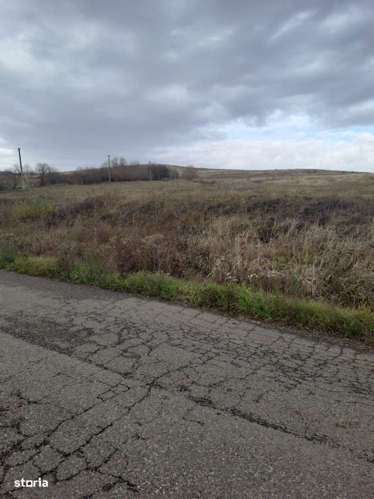 Teren extravilan la limita cu intravilanul 14 ha RECEA MICA-1
