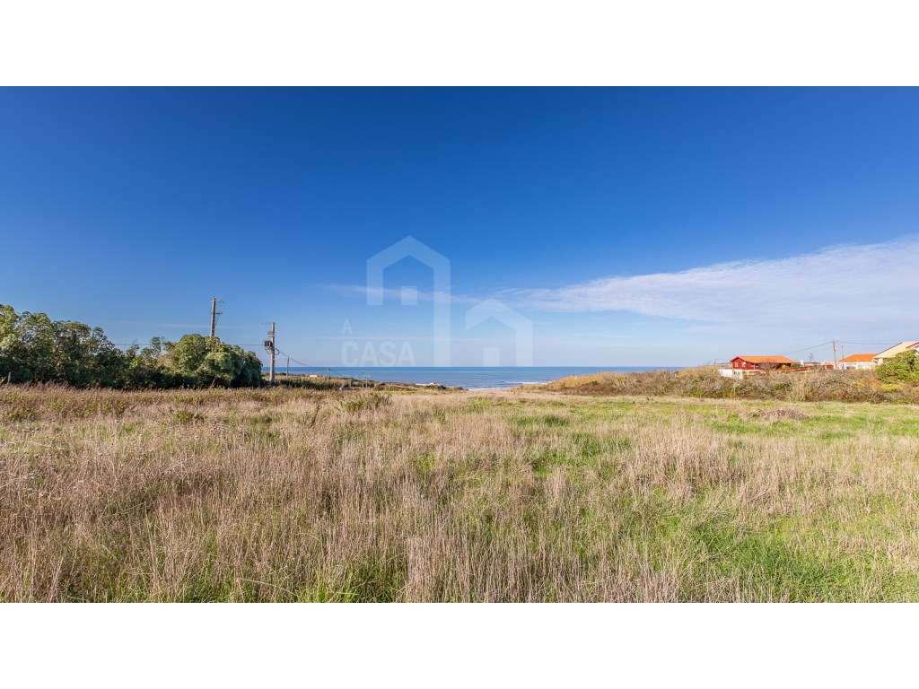 Vende Terreno - Ericeira 18 Km, A Casa das Casas - Grande imagem: 5/15