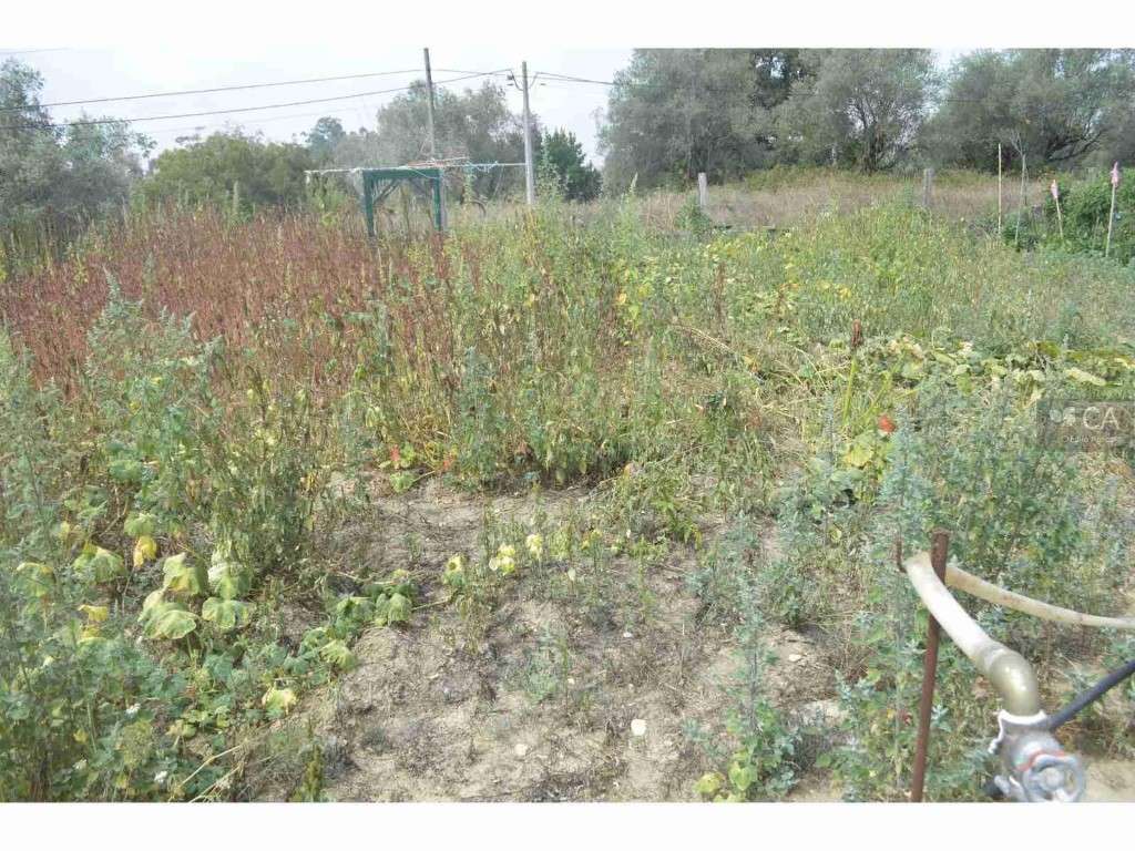 Terreno - Milagres - Grande imagem: 4/17