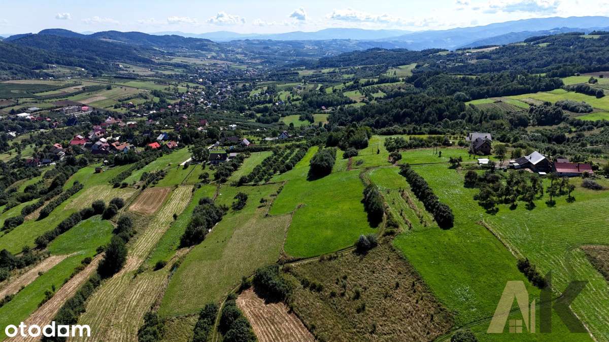 Działka rolna 26,5ar Wola Piskulina - Pełny obrazek: 1/12