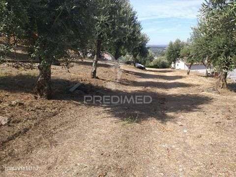 Terreno para Construção - Grande imagem: 4/11