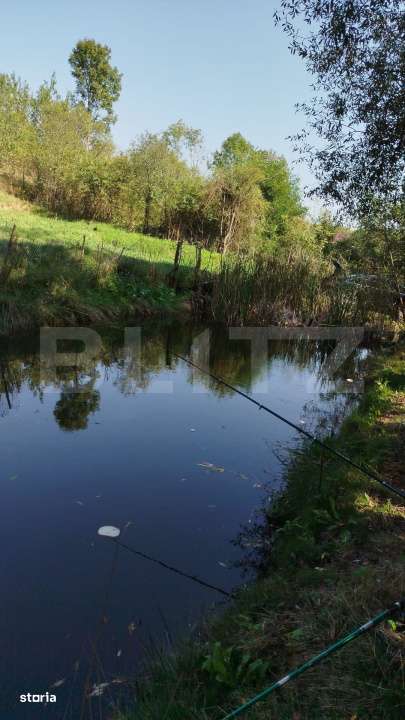 Teren intravilan 1150 mp cu cabana si balta, Sat Craesti - Imagine principală: 2/2