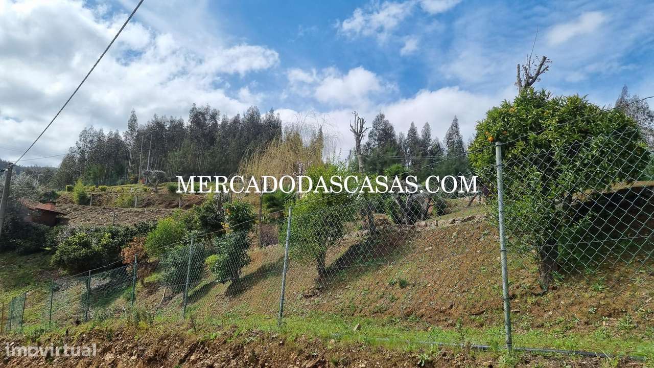 Quinta Refúgio Natural. Bungalows, Piscina-18