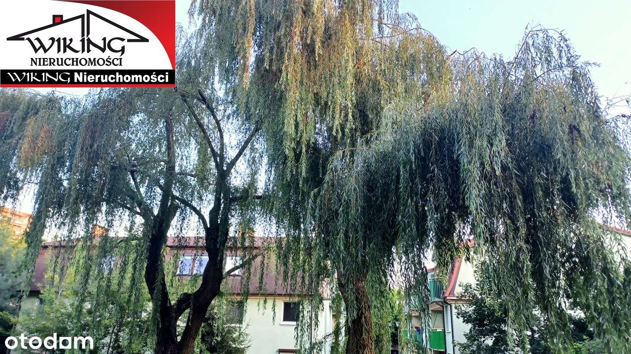 Mieszkanie 2 pok Swarzędz os. Dąbrowszczaków-6