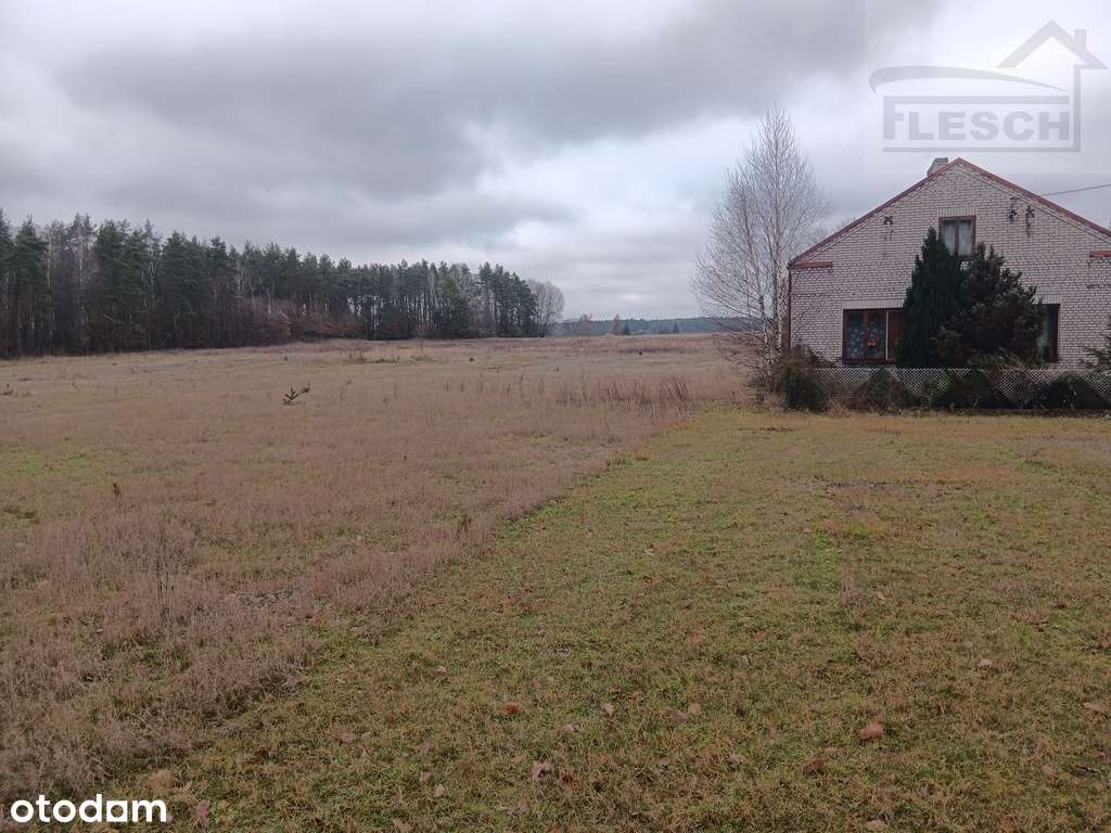 Bardzo ładna działka 12ha  Podlindowo Gm Mszczonów-13