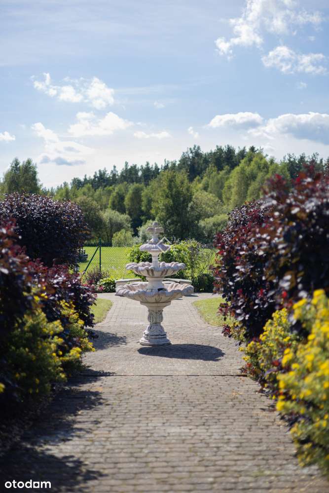 Dom wolnostojący oraz działka rekreacyjna| Bojano - Pełny obrazek: 4/20