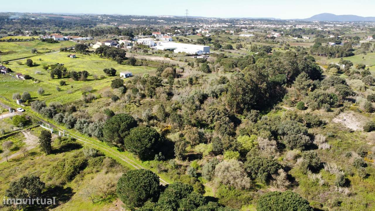 Apresento terreno agrícola, no Cartaxo com área total de 12 200 m2-8