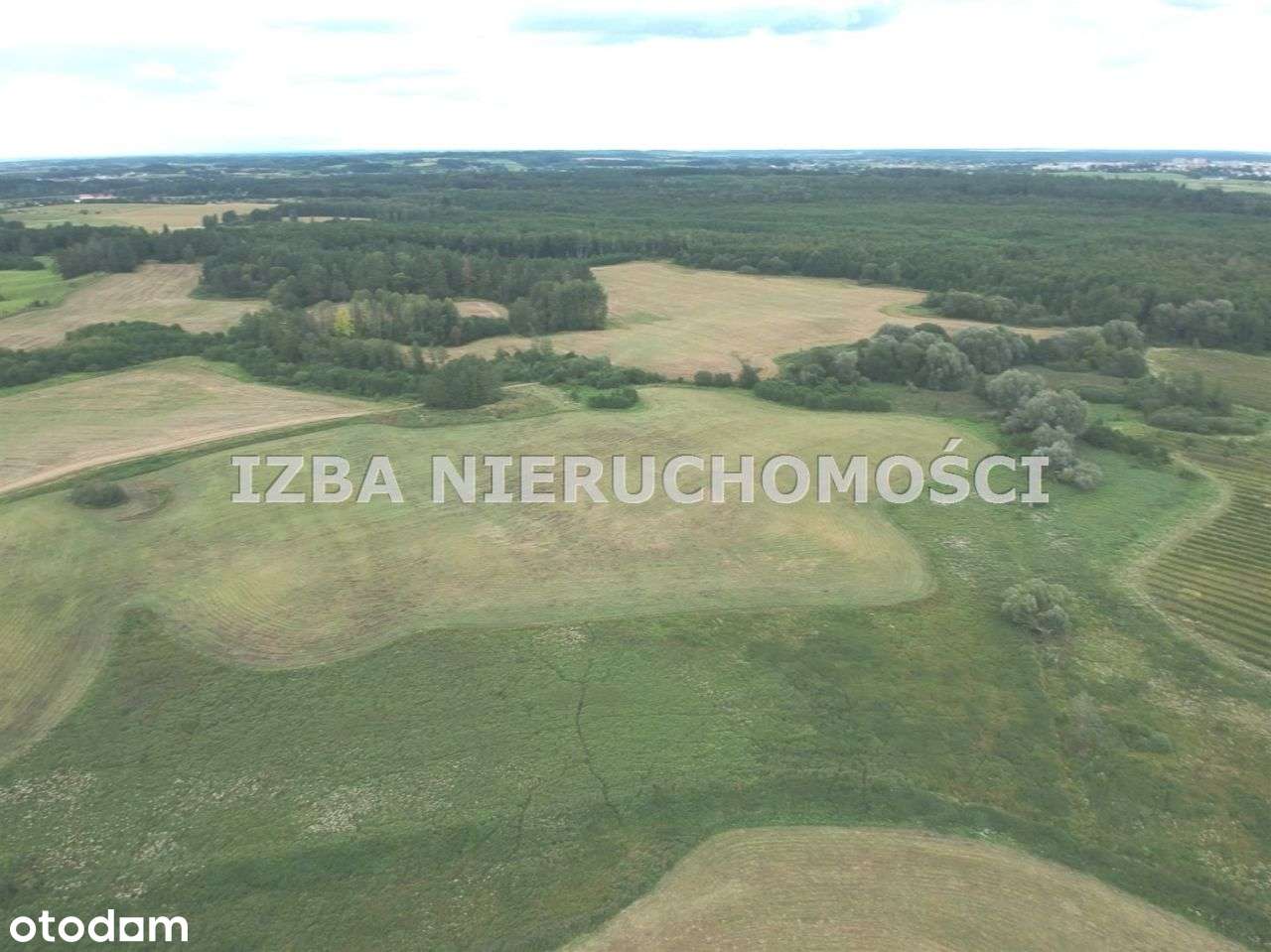 Działka, 3 000 m², Szarek - Pełny obrazek: 5/20