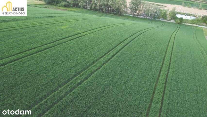 Nieruchomość 1,32 ha Stręgoborzyce-3