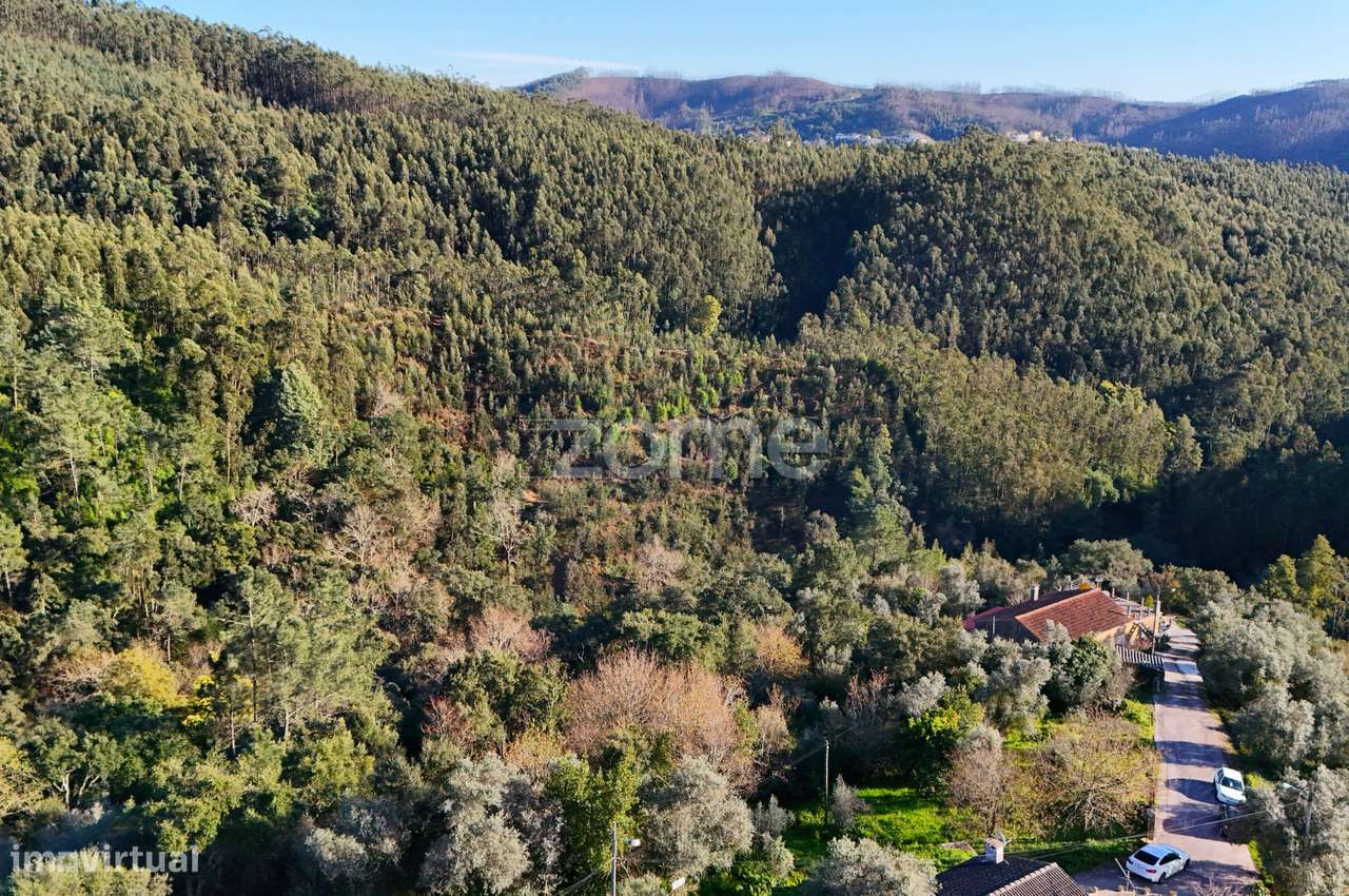 Terreno | Chão do Bispo | 4990 m2 - Grande imagem: 4/8