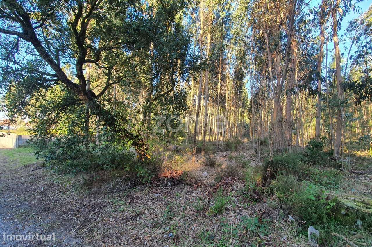 Terreno rústico - Grande imagem: 2/16