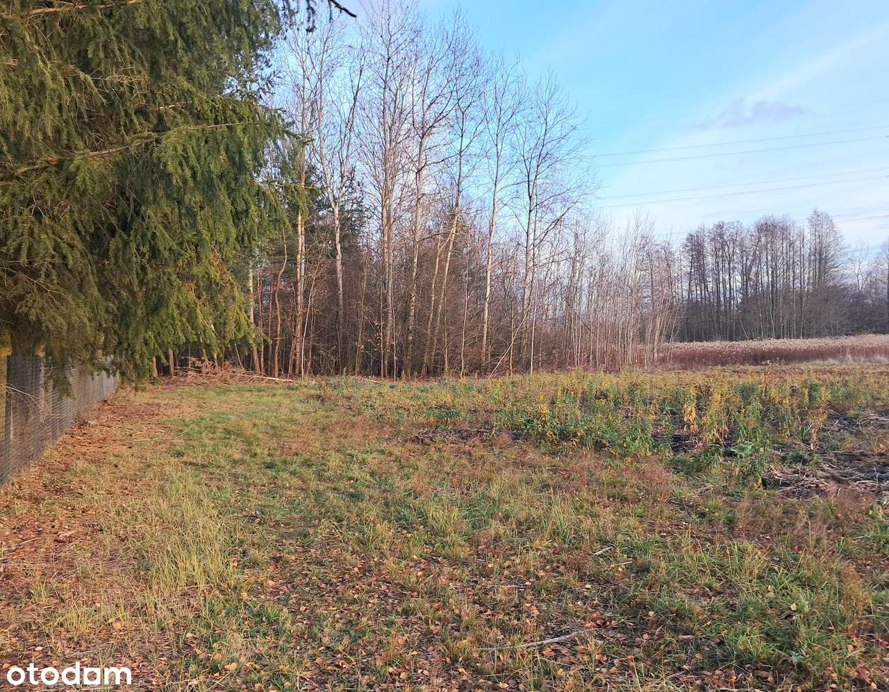 DZIAŁKA BUDOWLANA/Wola Karczewska/3500 m²/Warunki zabudowy na dwa domy-8