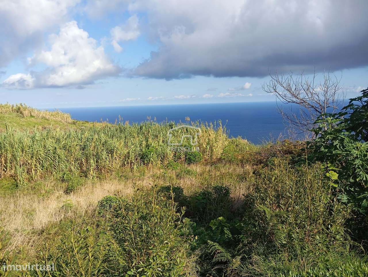5002 m2  Frente Única de Mar- Porto Moniz - Grande imagem: 2/29