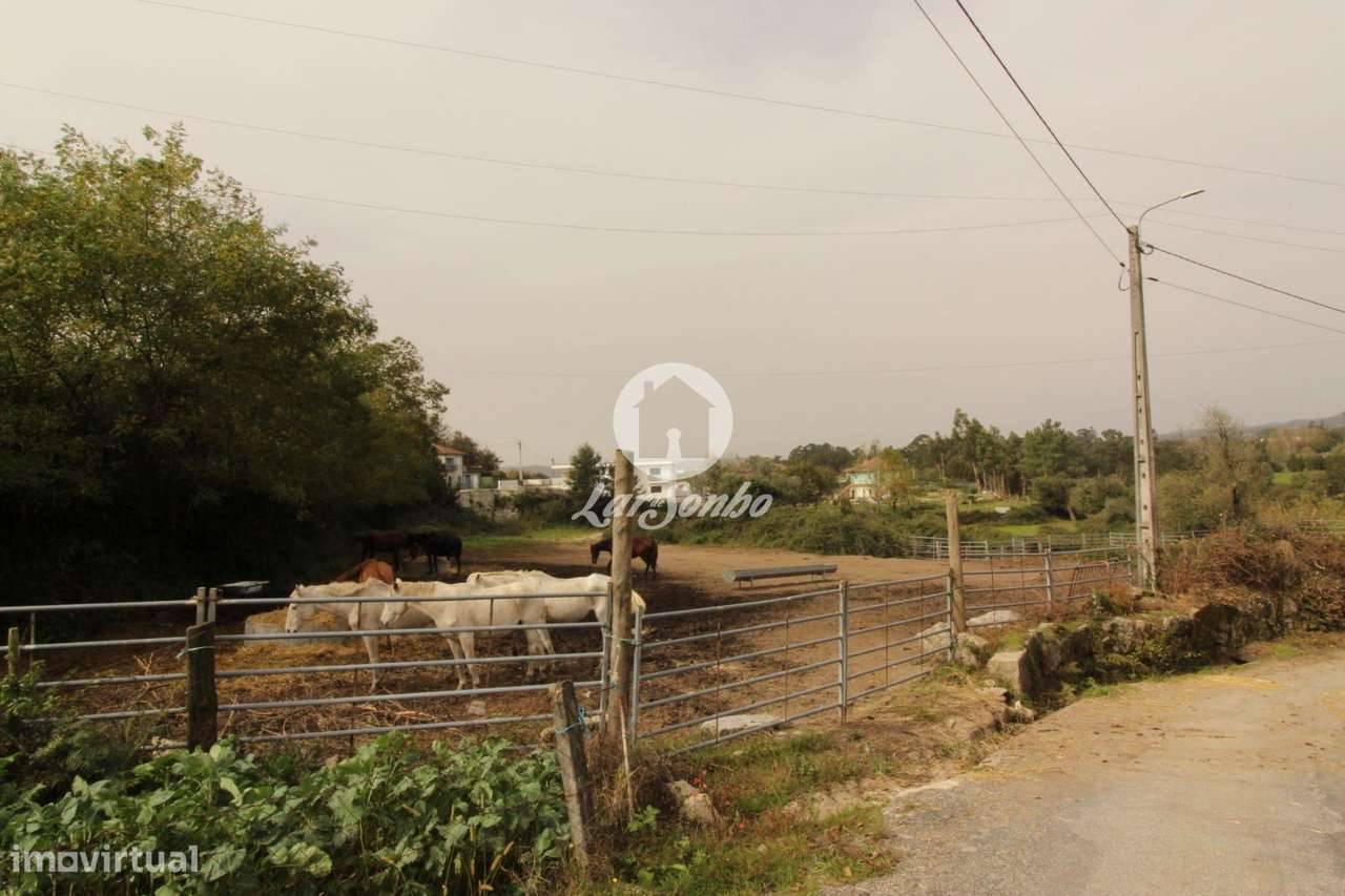 Quinta c/ área de 8.700m2 S. Gens Fafe - Grande imagem: 5/7