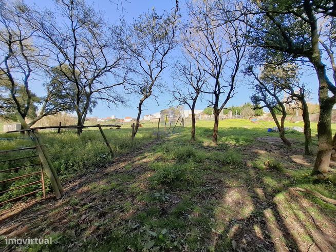 Terreno urbano com 15.867 m2 em Cela, Alcobaça,  e ruína de 336,30 m2-20