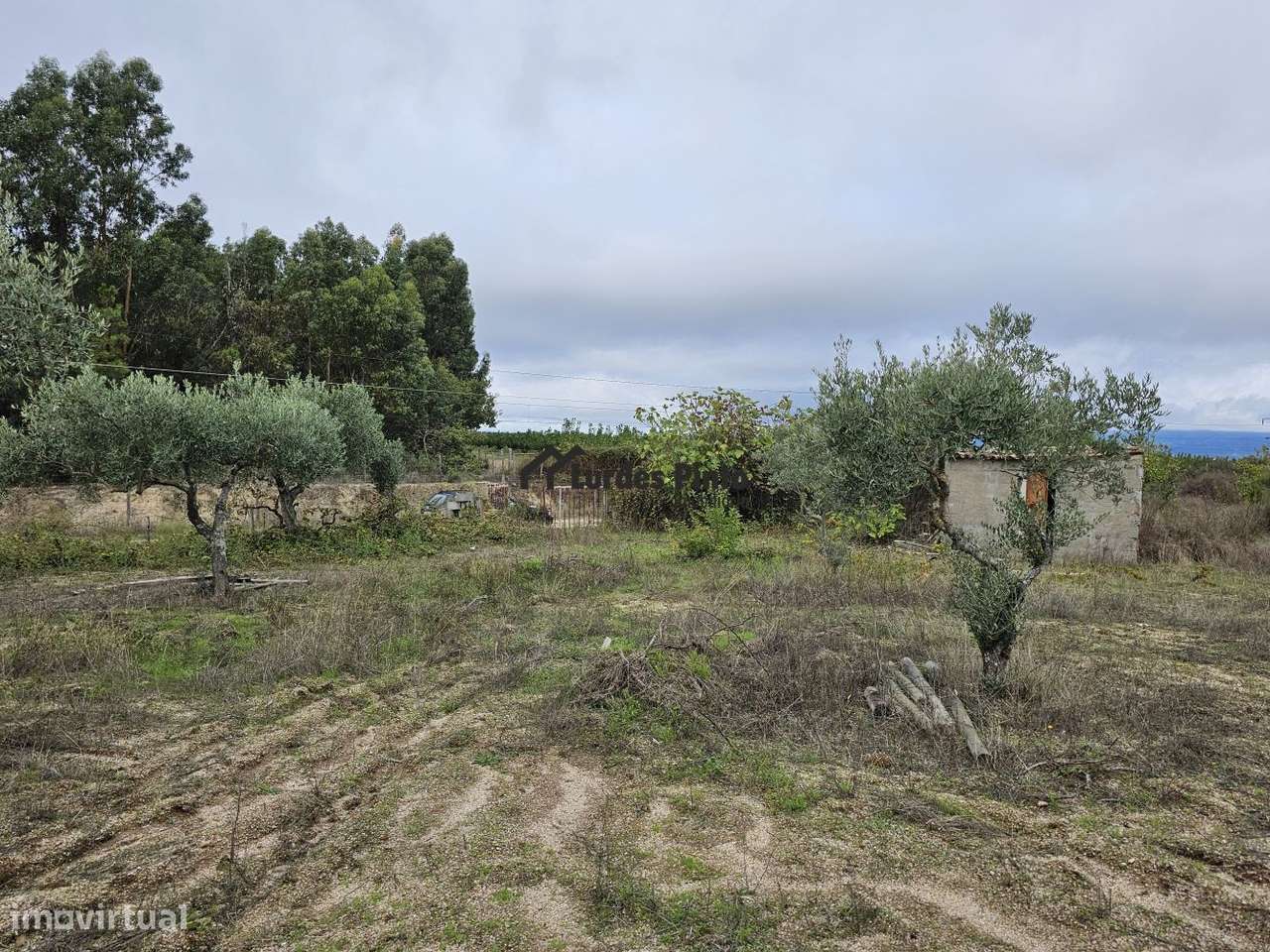 Quinta com construção em pedra-15