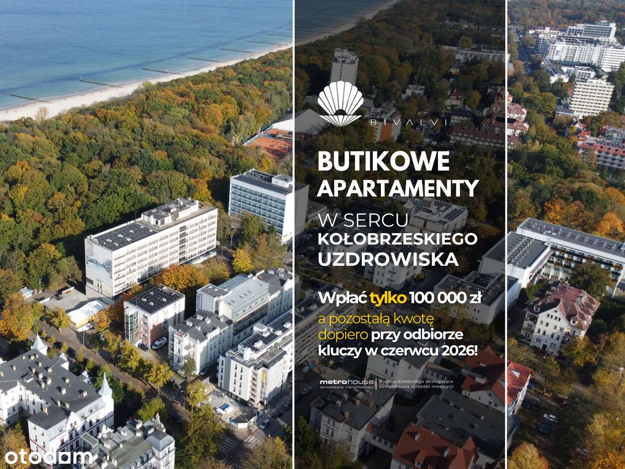 Bivalvi  | apartament 1-pok. | 26,08 m² | 5 - Pełny obrazek: 1/9