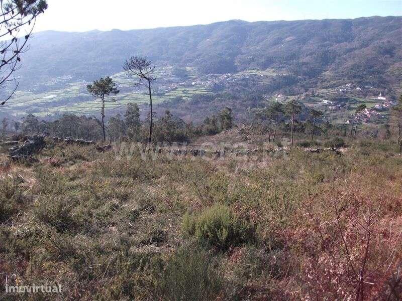 Terreno / Baião, Campelo e Ovil - Grande imagem: 3/11