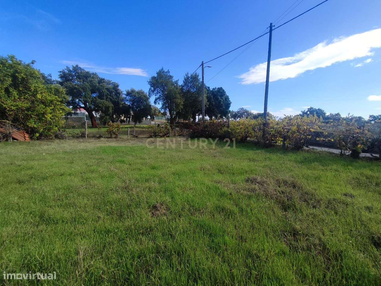 Lote de Terreno para Construção, Tinalhas, Castelo Branco - Grande imagem: 2/11