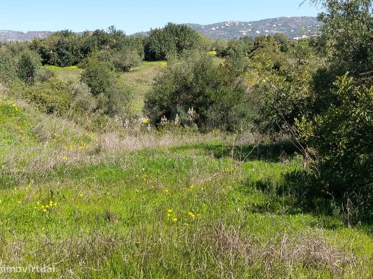 Lote de Terreno Rustico-7