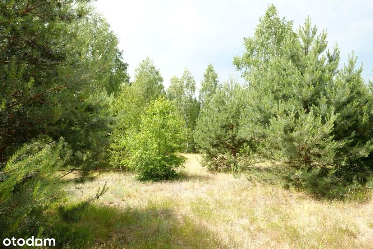 Wólka Smolana, gm. Brochów, 5 działek-5