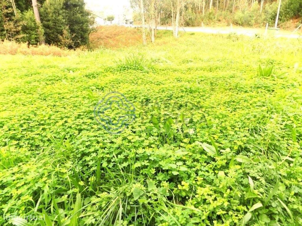 Terreno com 8620 M2. Junto ao Nó da Autoestrada A1. - Grande imagem: 4/12