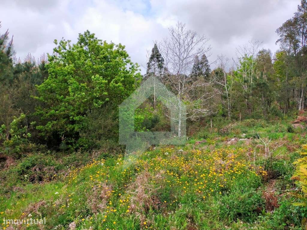 Terreno Urbano em Vilar de Figos, Barcelos - Grande imagem: 4/31