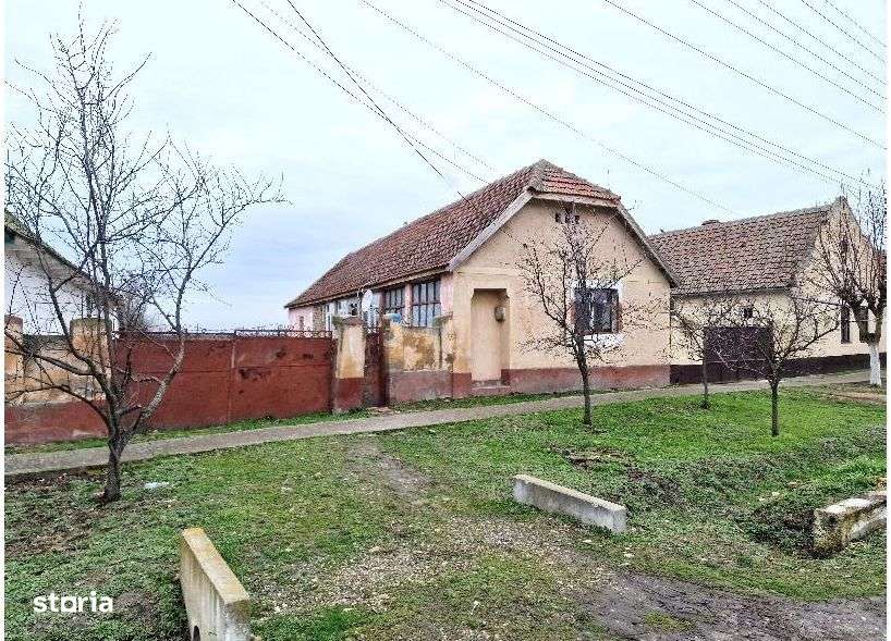 Cota 1/2 casa si teren Pustiniș, jud. Timiș-id R1992745 - Imagine principală: 4/6