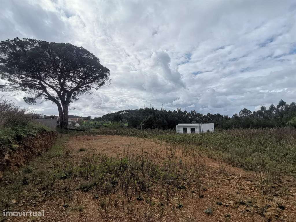 Lote, Penacova - Grande imagem: 4/11