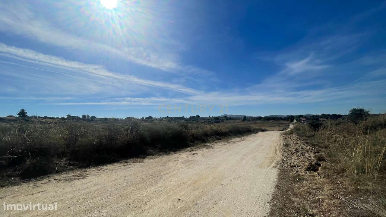 Terreno rústico | Lirião, Castelo Branco - Grande imagem: 3/8