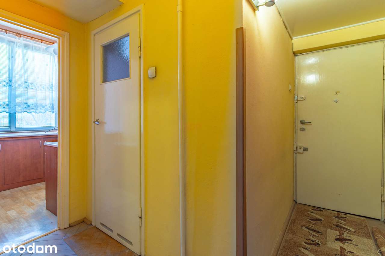 Duża kawalerka na Bałutach w otoczeniu parków - Pełny obrazek: 4/12