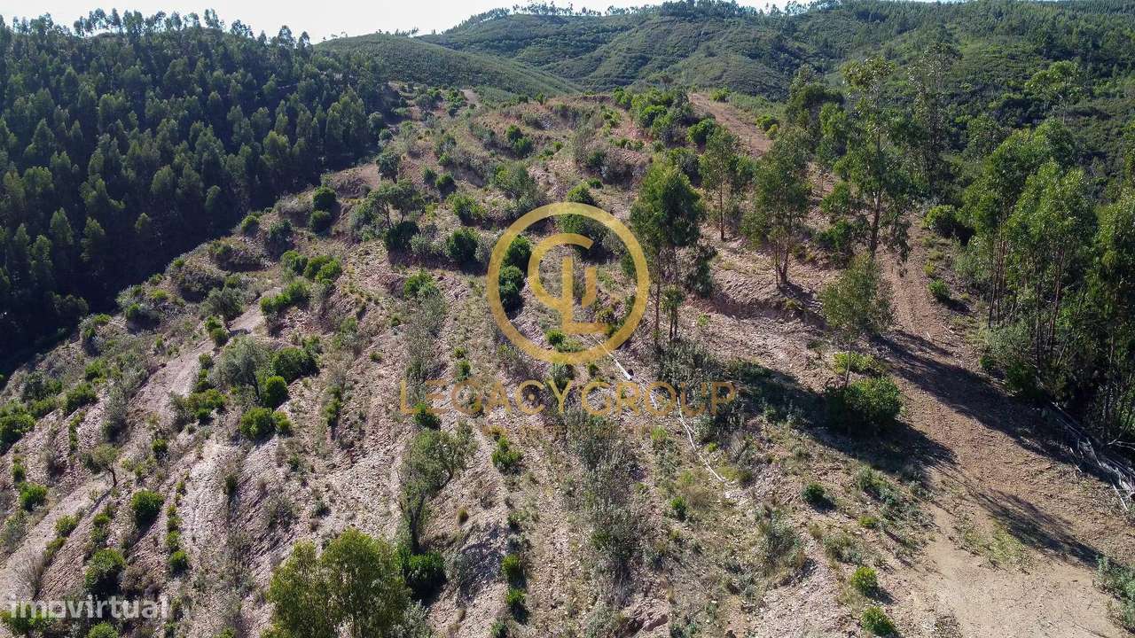Propriedade de 10 hectares perto da barragem de Odelouca-18
