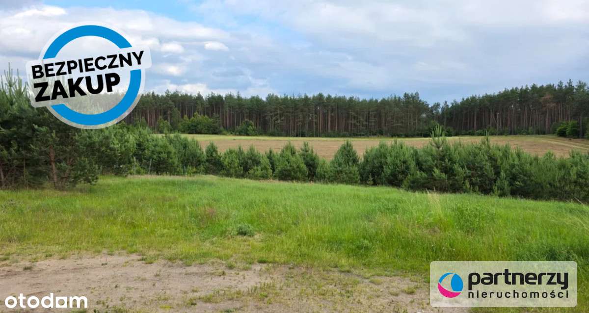 Prąd na działce | Woda tuż przed | Ogród od płd - Pełny obrazek: 5/6