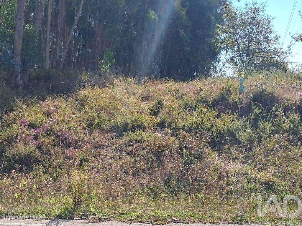 Terreno para construção em Souto da Carpalhosa e Ortigosa de 2154,00 m - Grande imagem: 2/17