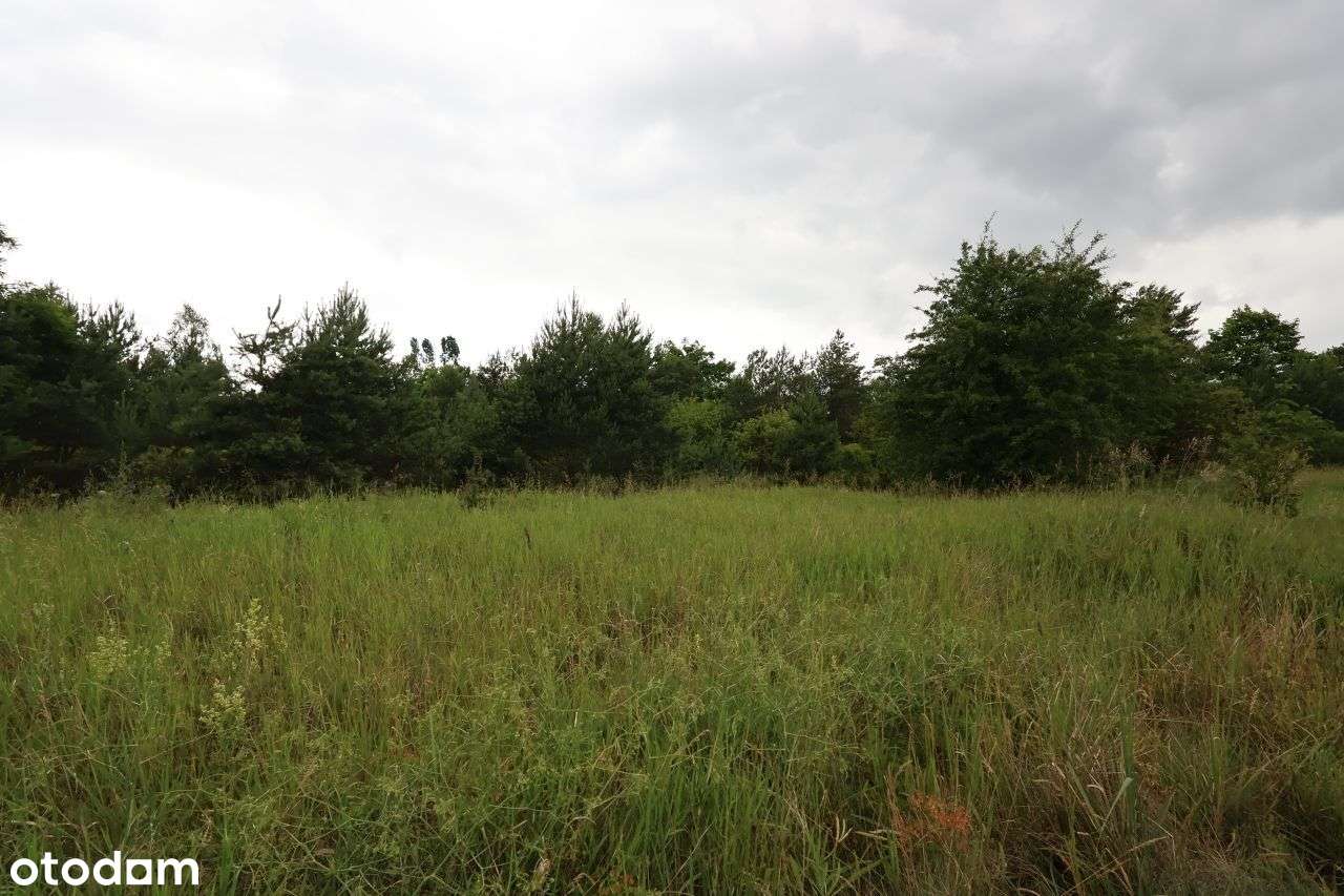 Atrakcyjna cenowo nieruchomość pod inwestycje-3