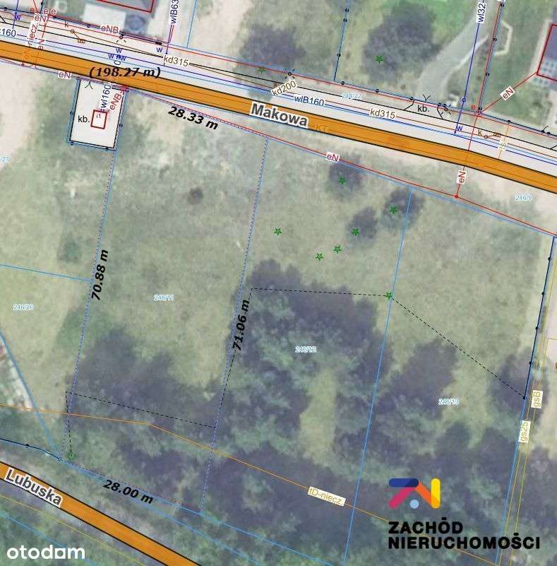 Działka budowlana 1961 m2 w Przytoku - Pełny obrazek: 5/13